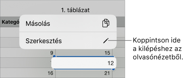 Egy kijelölt táblázatcella, amely fölött a Másolás és Szerkesztés gombokat tartalmazó menü látható.