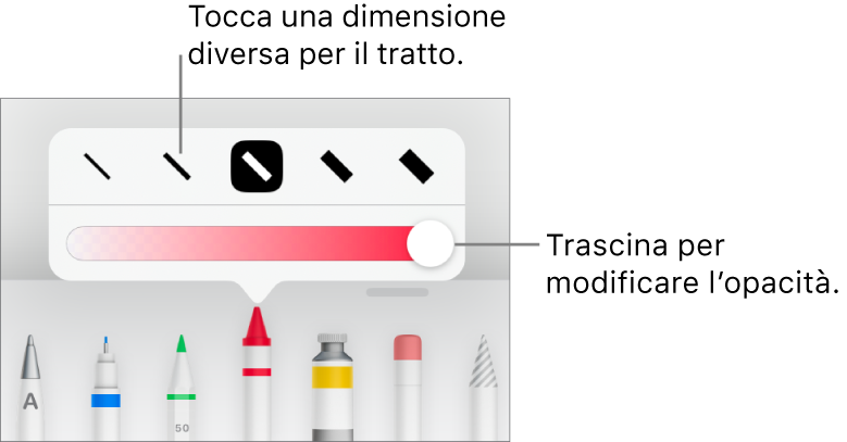 Controlli per scegliere una dimensione tratto e cursore per regolare l'opacità.