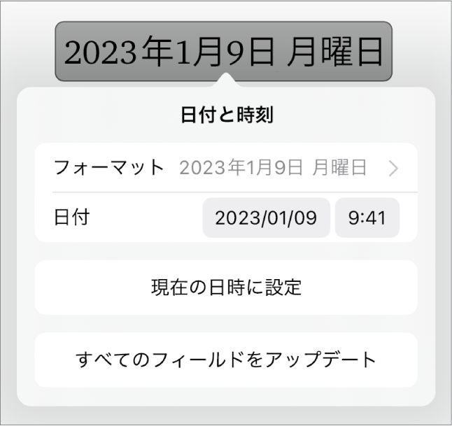 「日付と時刻」コントロール。日付の「フォーマット」のポップアップメニューと、「現在の日時に設定」ボタンおよび「すべてのフィールドをアップデート」ボタンが表示された状態。