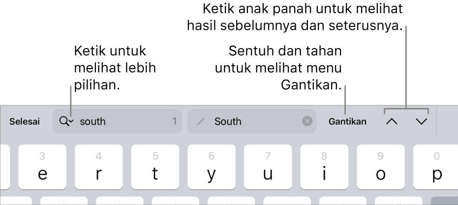 Kawalan Cari & Ganti di atas papan kekunci dengan petak bual ke butnag Pilihan Carian, Ganti, Pergi ke Atas dan Pergi ke Bawah.