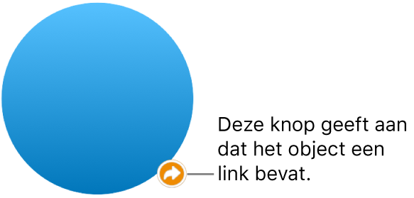 Een knop met een link op een vorm.