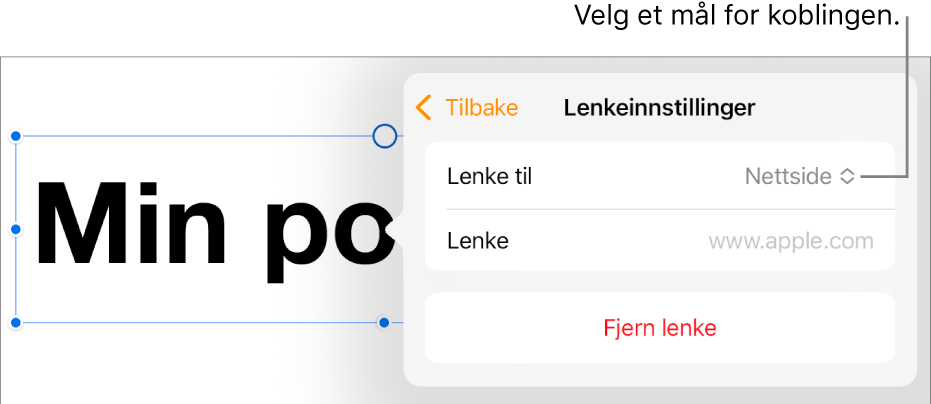 Lenkeinnstillinger-kontrollene med Nettside markert, og Fjern lenke-knappen nederst.