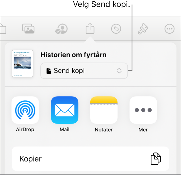 Del-menyen med Send kopi markert øverst.