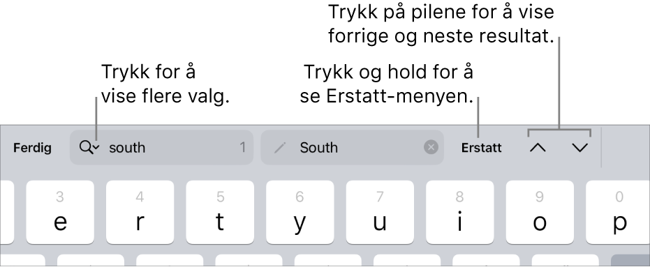 Søk og erstatt-kontrollene over tastaturet med bildebeskrivelser for knappene for Søkealternativer, Erstatt, Gå opp og Gå ned.