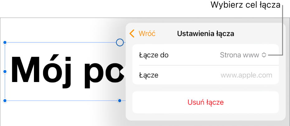 Narzędzia ustawień łącza; wybrane jest narzędzie Strona www; na dole znajduje się przycisk Usuń łącze.