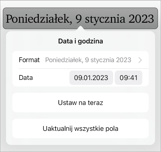 Narzędzia daty i czasu. Widoczne jest menu podręczne formatu daty i przyciski Ustaw na dzisiaj oraz Uaktualnij wszystkie pola.