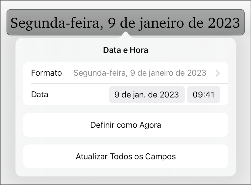 Controles de Data e Hora mostrando um menu pop-up para Formatar data e os botões Definir como Agora e Atualizar Todos os Campos.