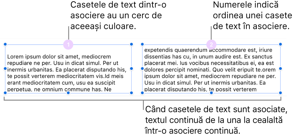 Două casete de text cu cercuri mov în partea de sus și numerele 1 și 2 în cercuri.