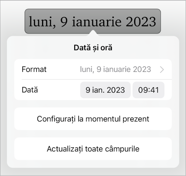 Fereastra comenzilor Dată și oră afișând un meniu pop-up pentru formatarea datei și butoanele Configurați la momentul prezent și Actualizați toate câmpurile.