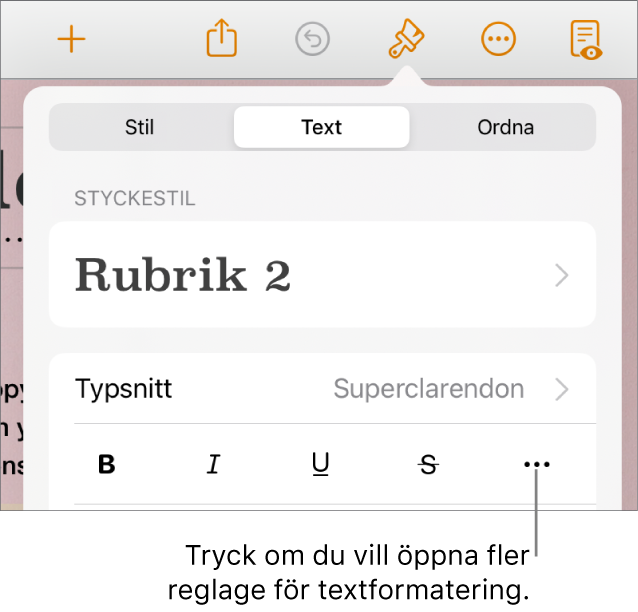 Fliken Text i formatreglagen, med en linje som pekar på knappen Fler textalternativ.