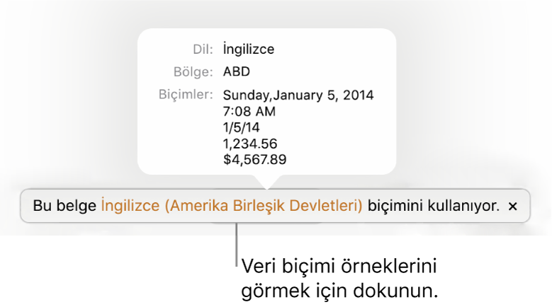 O dil ve bölgede kullanılan biçimlendirme örneklerini gösteren, farklı dil ve bölge ayarı bildirimi.
