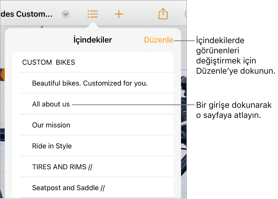 Listedeki girişlerle birlikte içindekiler görüntüsü. Düzenle düğmesi, görüntünün sağ üst köşesindedir.