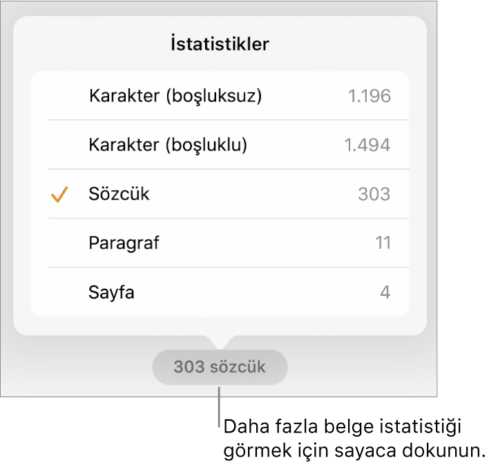 Boşluksuz ve boşluklu karakter sayısını, sözcük sayısını, paragraf sayısını ve sayfa sayısını gösterme seçeneklerini gösteren menüyle sözcük sayacı.