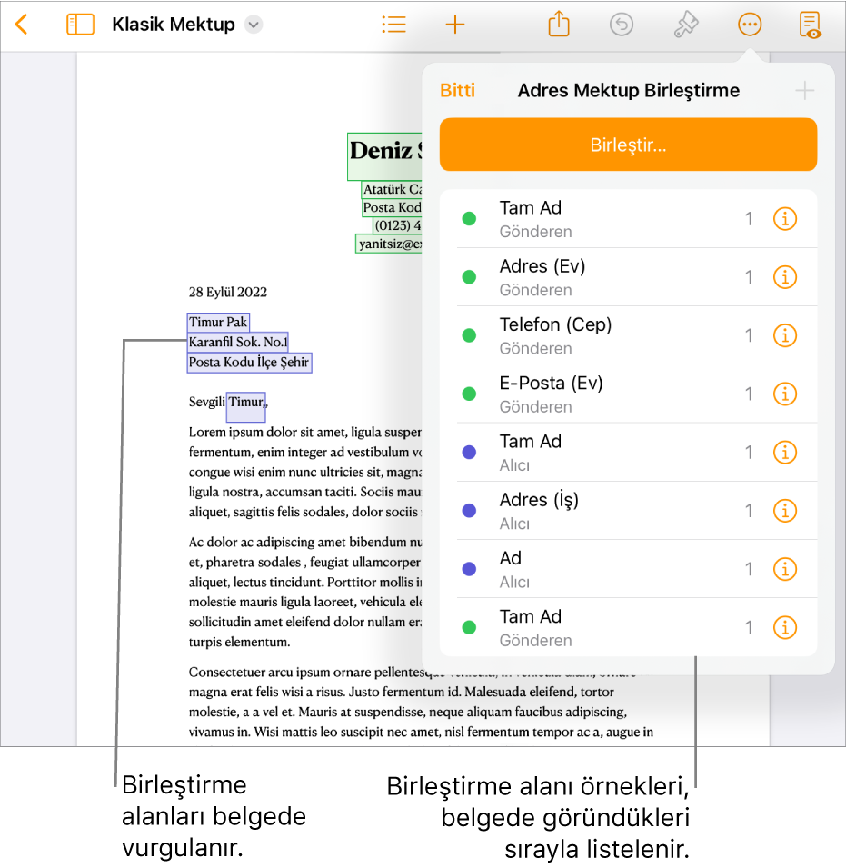 Alıcı ve gönderen birleştirme alanları ile Pages belgesi ve Belge kenar çubuğunda görünen birleştirme alanı örnekleri listesi.