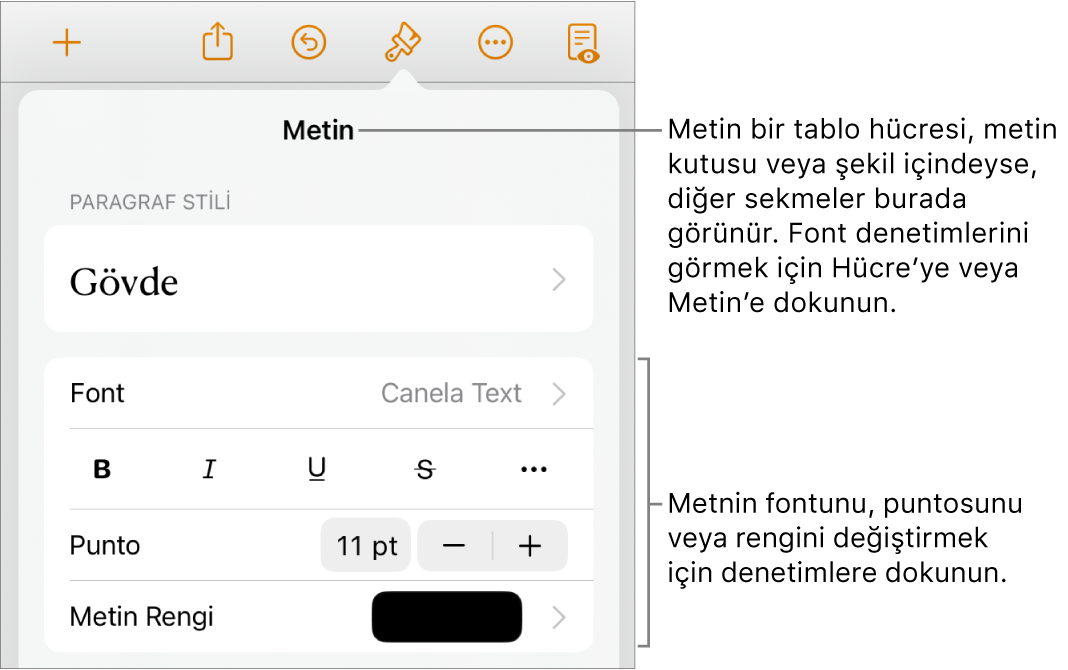 Paragraf ve karakter stillerini, fontunu, boyutunu ve rengini ayarlamak için Biçim menüsündeki metin kontrolleri.