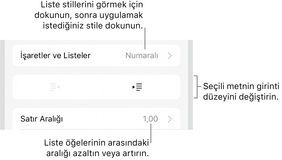 Madde İşaretleri ve Listeler, çıkıntı ve girinti düğmeleri ve de satır aralığı denetimlerini gösteren belirtme çizgileri ile Biçim denetimlerinin Madde İşaretleri ve Listeler bölümü.