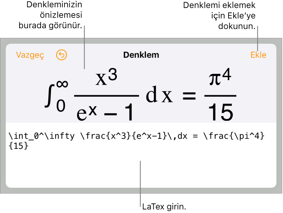 LaTeX komutları kullanılarak yazılmış bir denklemi ve onun üstünde formülün önizlemesini gösteren Denklem sorgu kutusu.