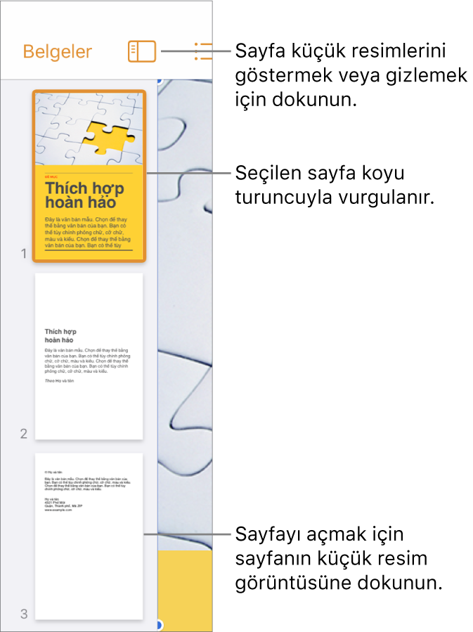 Ekranın sol tarafında bir sayfa seçili şekilde Sayfa Küçük Resimleri görüntüsü. Görüntü Seçenekleri düğmesi, küçük resimlerin üst tarafındadır.
