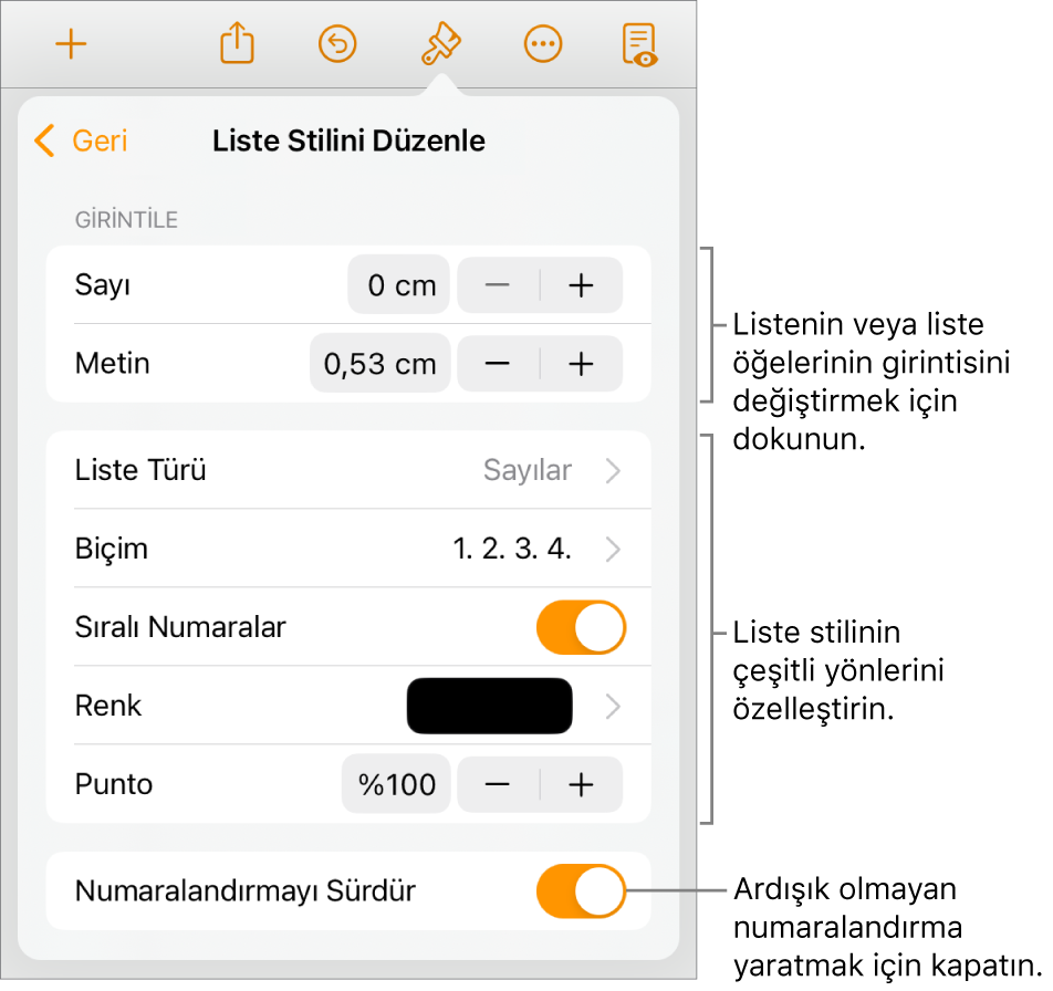 Girinti aralığı, liste türü ve biçimi, katmanlı sayılar, liste rengi ve büyüklüğü ve devamlı numaralandırma denetimleri ile Liste Stilini Düzenle menüsü.