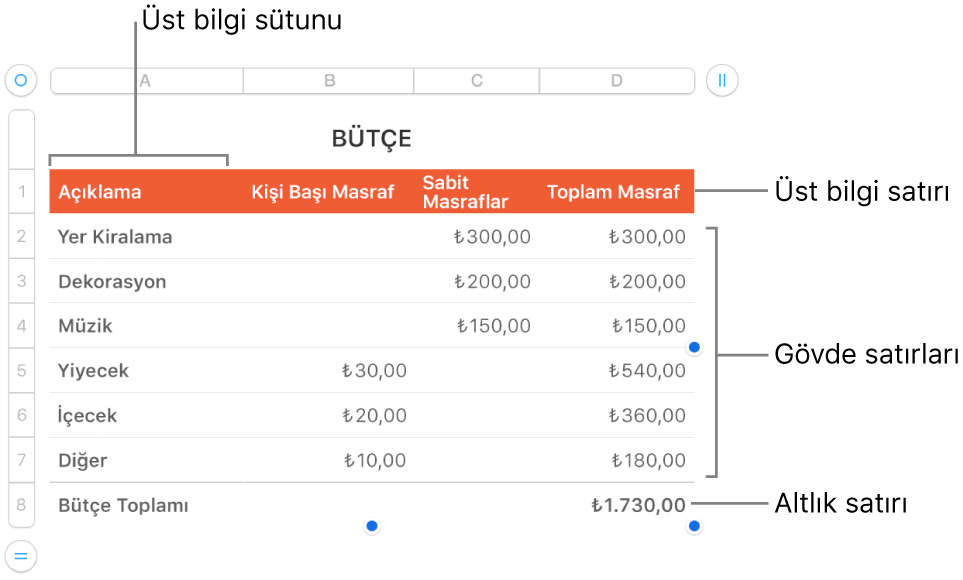 Üst bilgi, gövde ve dipnot satırlarını ve sütunlarını gösteren bir tablo.