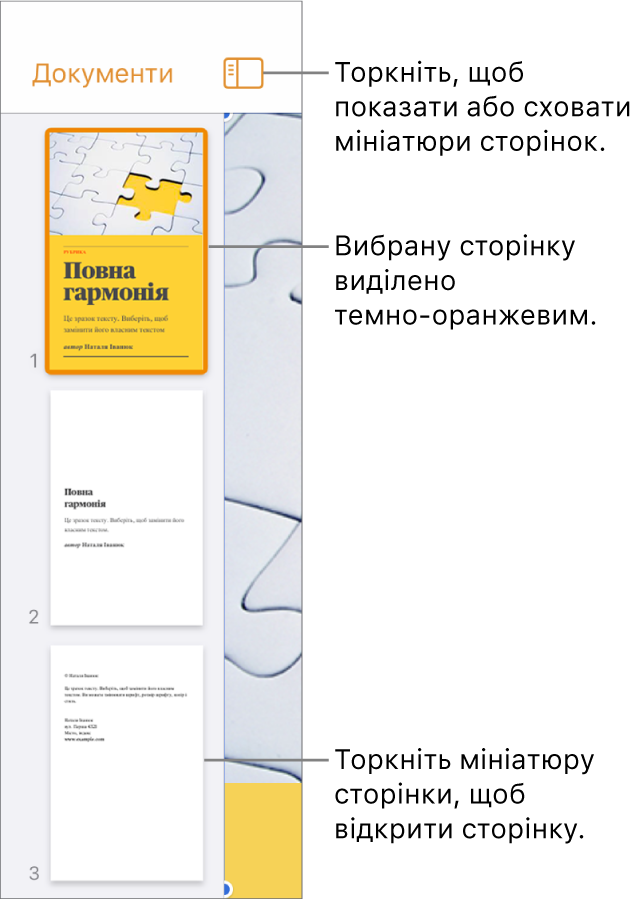 Перегляд мініатюр сторінок зліва на екрані, вибрано одну сторінку. Кнопка «Опції перегляду» над мініатюрами.