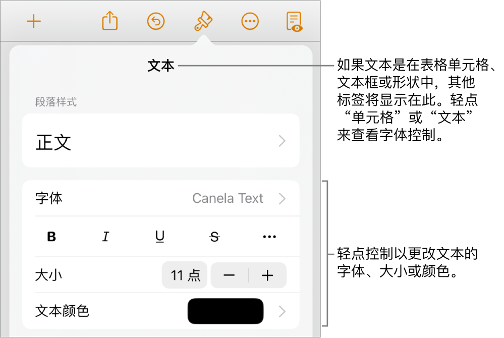 “格式”菜单中的“文本”控制，用于设定段落和字符样式、字体、大小和颜色。