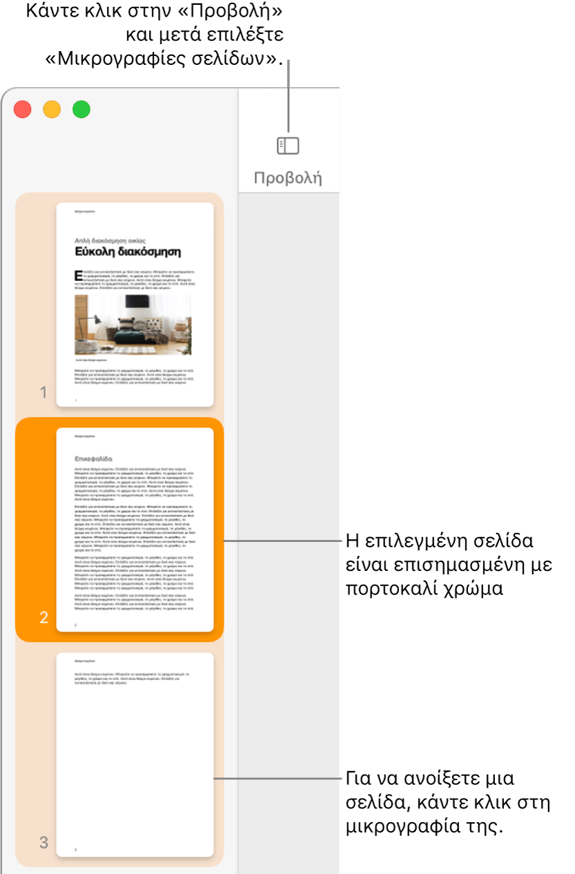 Η πλαϊνή στήλη στην αριστερή πλευρά του παραθύρου Pages με την προβολή μικρογραφιών σελίδων ανοιχτή και μια επιλεγμένη σελίδα επισημασμένη με σκούρο πορτοκαλί.