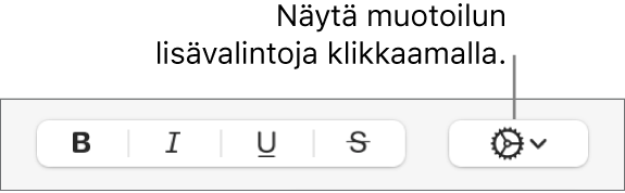 Lisää tekstivalintoja ‑ponnahdusvalikko Lihavointi-, Kursivointi-, Alleviivaus- tai Yliviivaus-painikkeiden oikealla puolella.