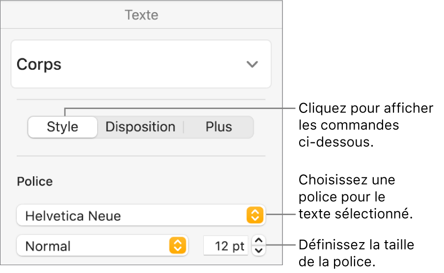 Commande de texte de la section Style de la barre latérale Format, permettant de configurer la police et la taille des caractères.