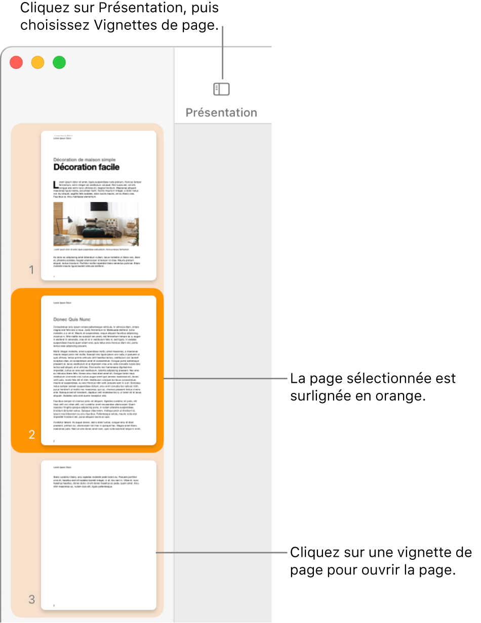 La barre latérale du côté gauche de la fenêtre Pages contenant la présentation Vignettes de page ouverte et la page sélectionnée surlignée en orange foncé.