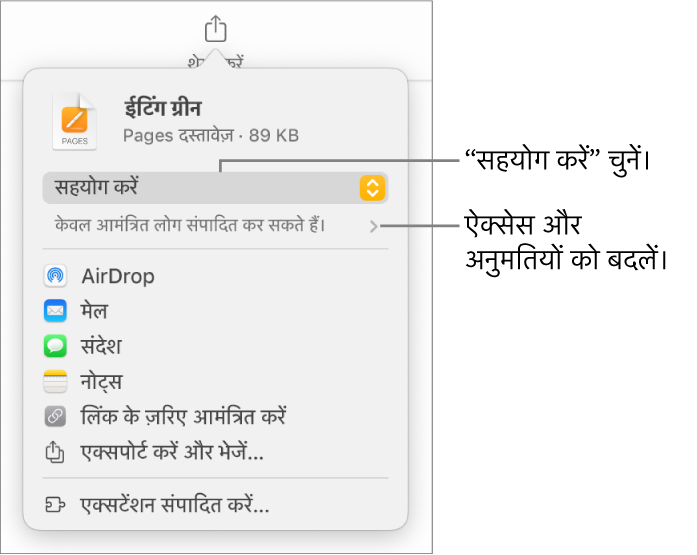 “शेयर करें” मेनू और शीर्ष पर “सहयोग करें” तथा नीचे ऐक्सेस और अनुमतियाँ चुनी हुई हैं।