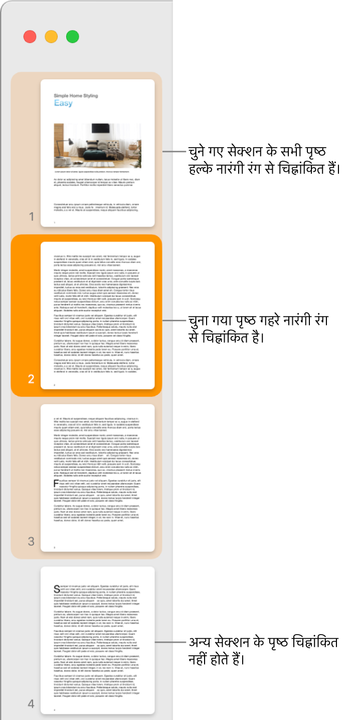 गहरे नारंगी रंग से चिह्नांकित चुना गया पृष्ठ और हल्के नारंगी रंग से चिह्नांकित चुने गए सेक्शन के सभी पृष्ठों के साथ थंबनेल दृश्य साइडबार।