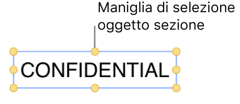 Oggetto con maniglie di selezione.