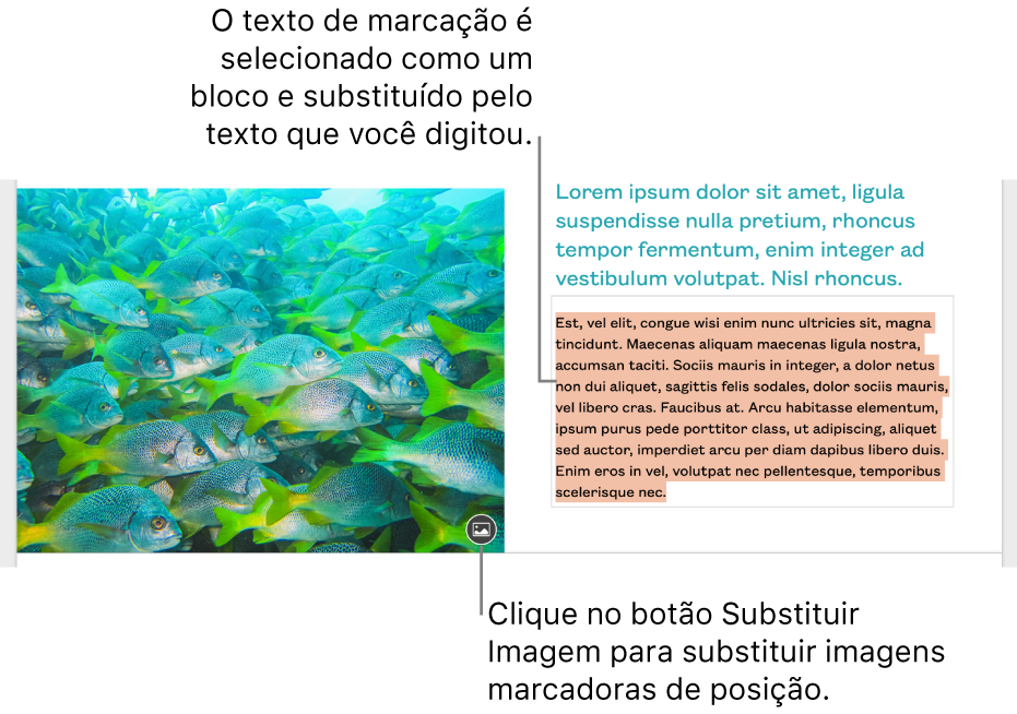 Texto e imagens do marcador de posição.