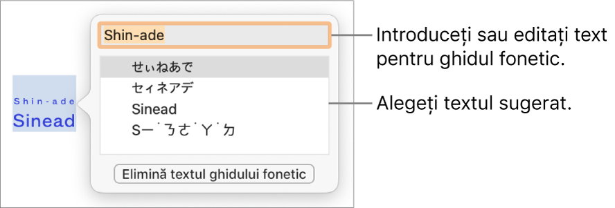 Se va deschide ghidul fonetic pentru un cuvânt, cu explicații pentru câmpul text și textul sugerat.