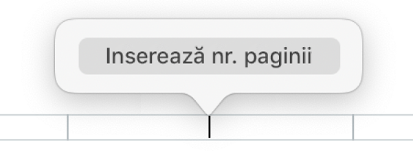 Butonul Inserează nr. paginii, sub antet.