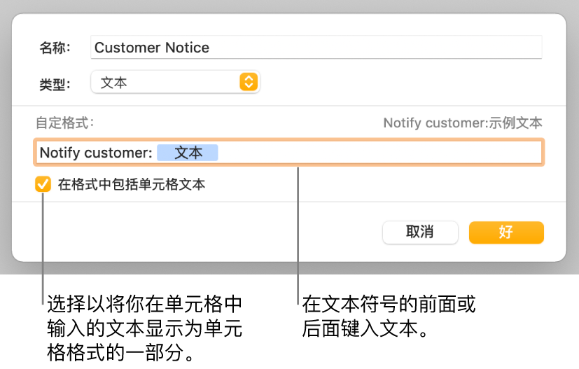 自定单元格式窗口，带有用于选取自定文本格式的控制。