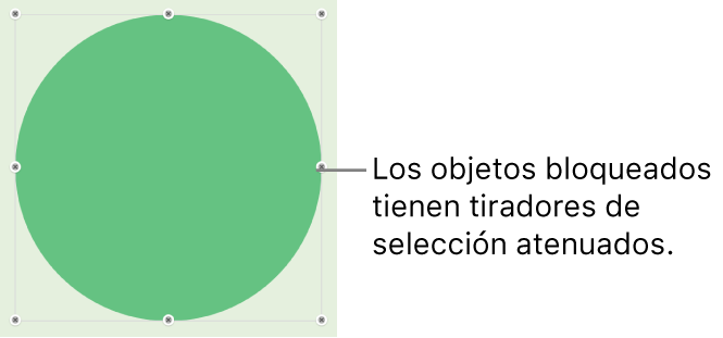 Un objeto bloqueado con tiradores de selección atenuados.