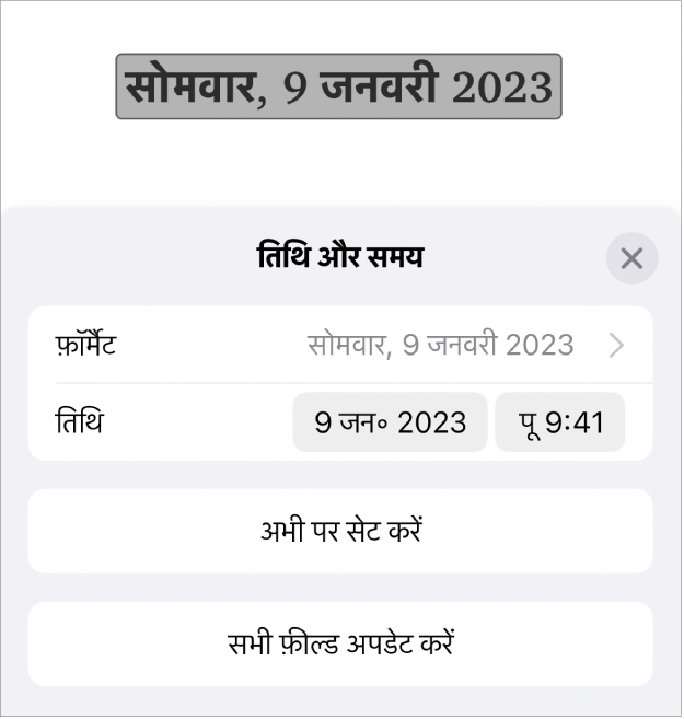 तिथि और समय नियंत्रण, जो तिथि फ़ॉर्मैट के लिए पॉप-अप मेनू और “आज पर सेट” बटन तथा “सभी फ़ील्ड अपडेट करें” बटन दिखा रहे हैं।