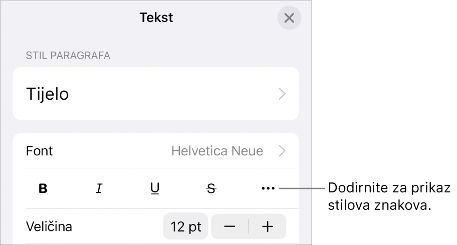 Kontrole opcije Formatiraj s tipkama za opcije teksta Podebljano, Kurziv, Podcrtavanje, Precrtavanje i Više.