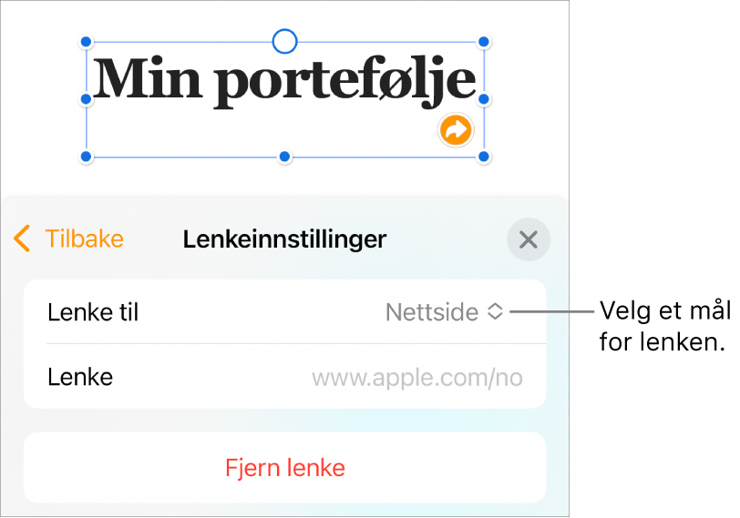 Lenkeinnstillinger-kontrollene med Nettside markert, og Fjern lenke-knappen nederst.