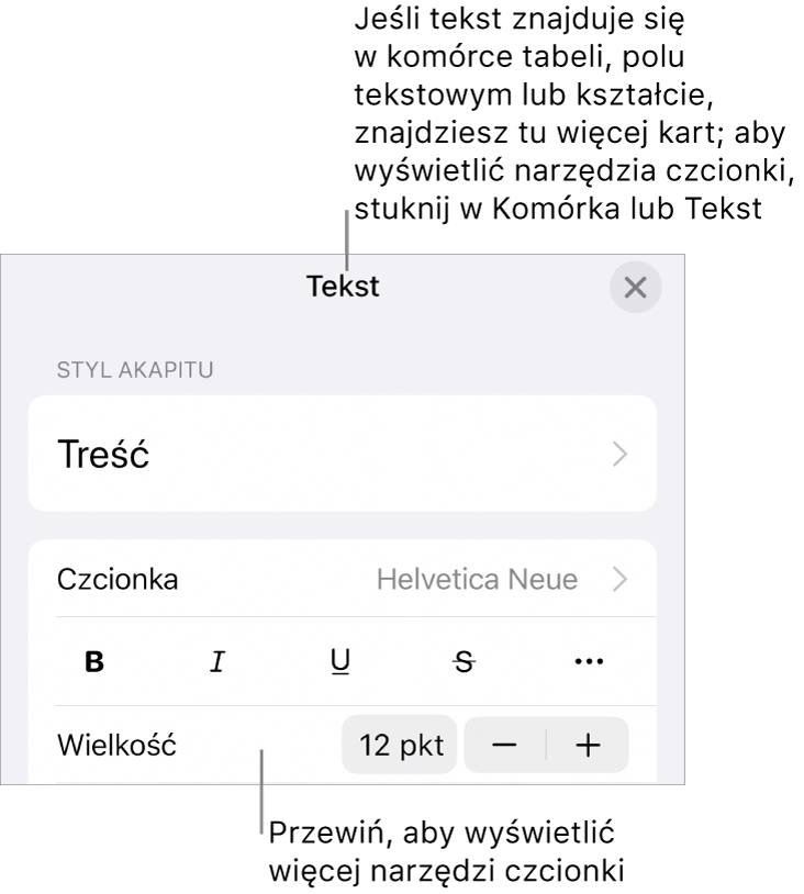 Narzędzia tekstów w menu Format służą do ustawiania stylów akapitu i znaków oraz czcionek ich wielkości i koloru.