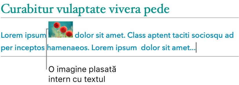 O imagine este plasată intern cu text.