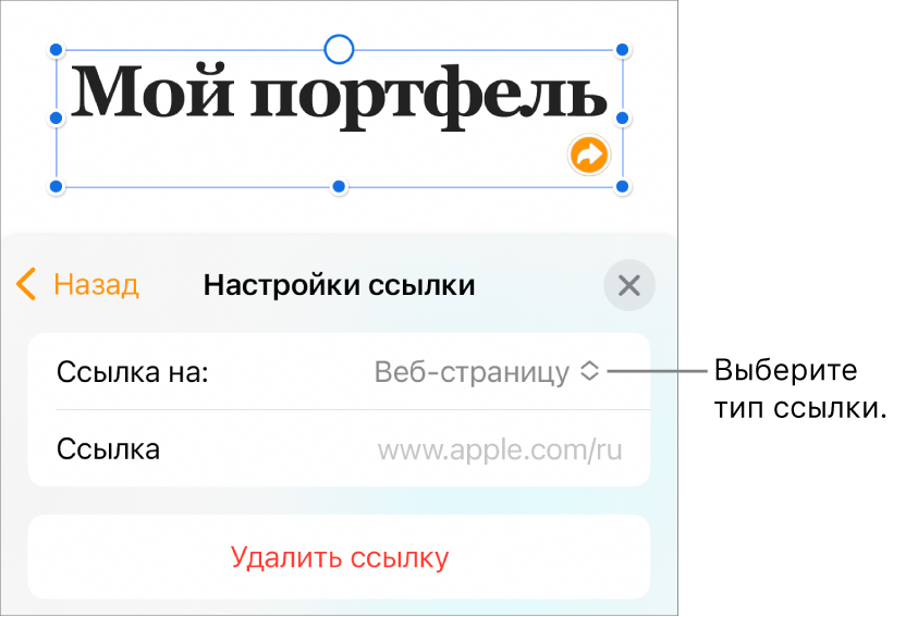 Элементы управления «Настройки ссылки»; выбран элемент «Веб-страница». В нижней части экрана показана кнопка «Удалить ссылку».