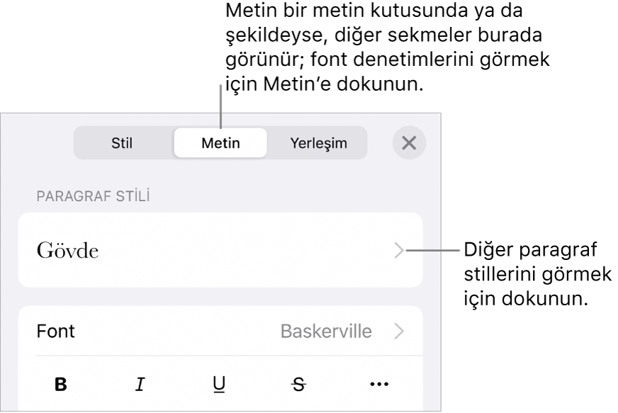 Paragraf ve karakter stillerini, fontu, puntoyu ve rengi ayarlamayla ilgili metin denetimlerini gösteren Biçim menüsü.