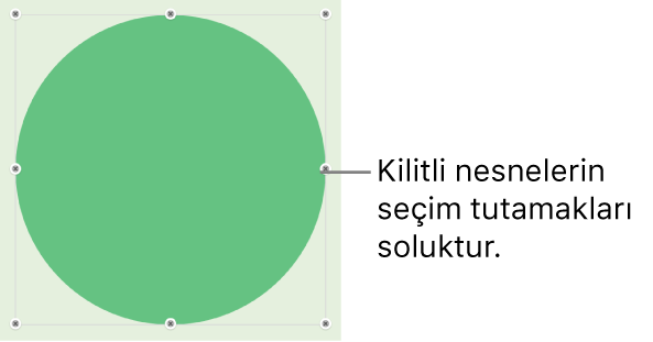 Soluk seçim tutamakları bulunan kilitli nesne.