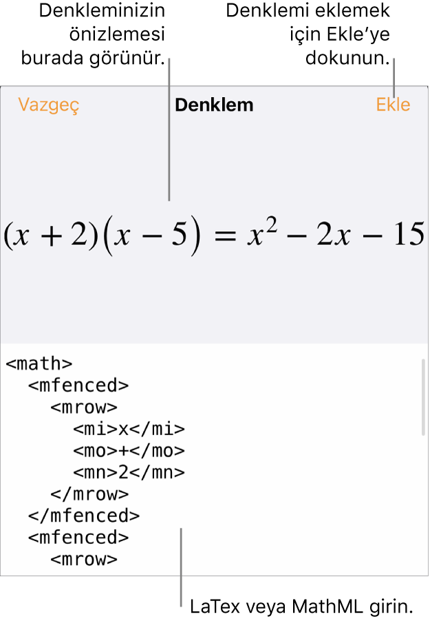 MathML komutları kullanılarak yazılmış bir denklemi ve onun üstünde formülün önizlemesini gösteren Denklem sorgu kutusu.