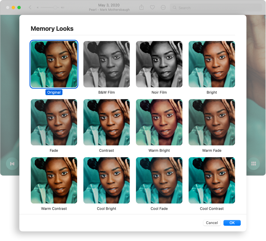 The Photos window showing looks that you can apply to the items in a memory.