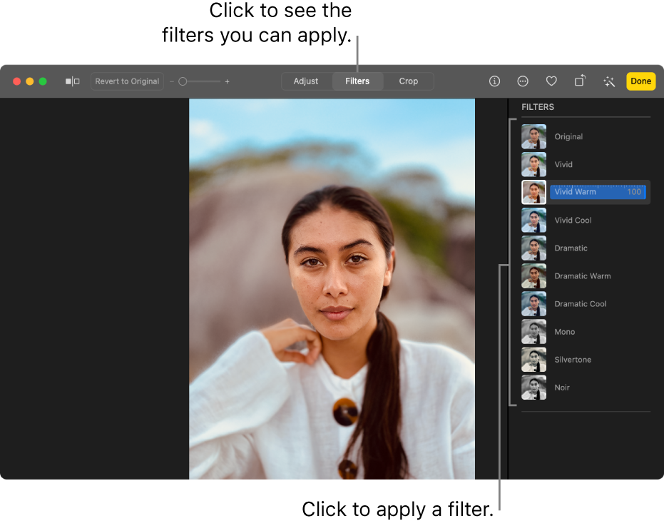 indsats acceptere gruppe Use a filter to change a photo's look in Photos on Mac - Apple Support