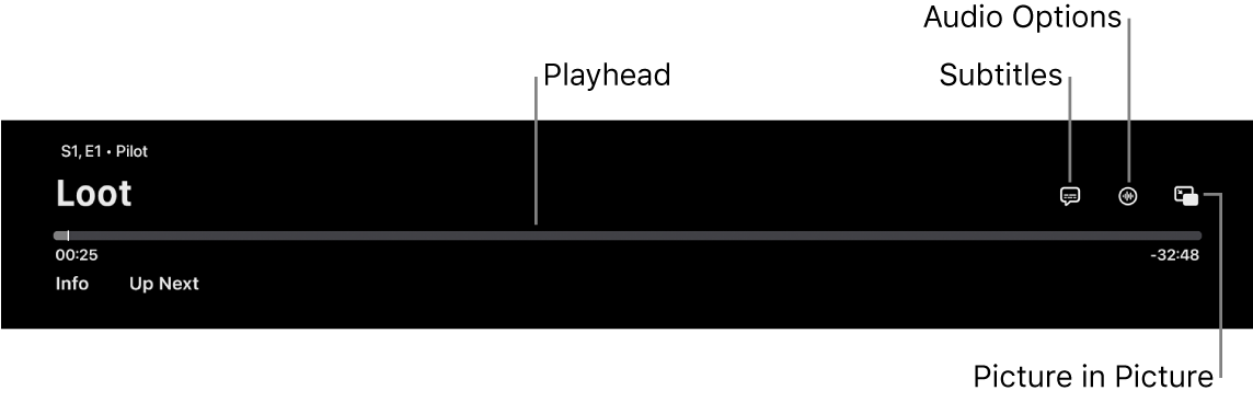 Playback controls